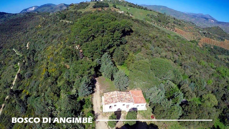 Calatafimi Segesta, natura: “Bosco di Angimbè”