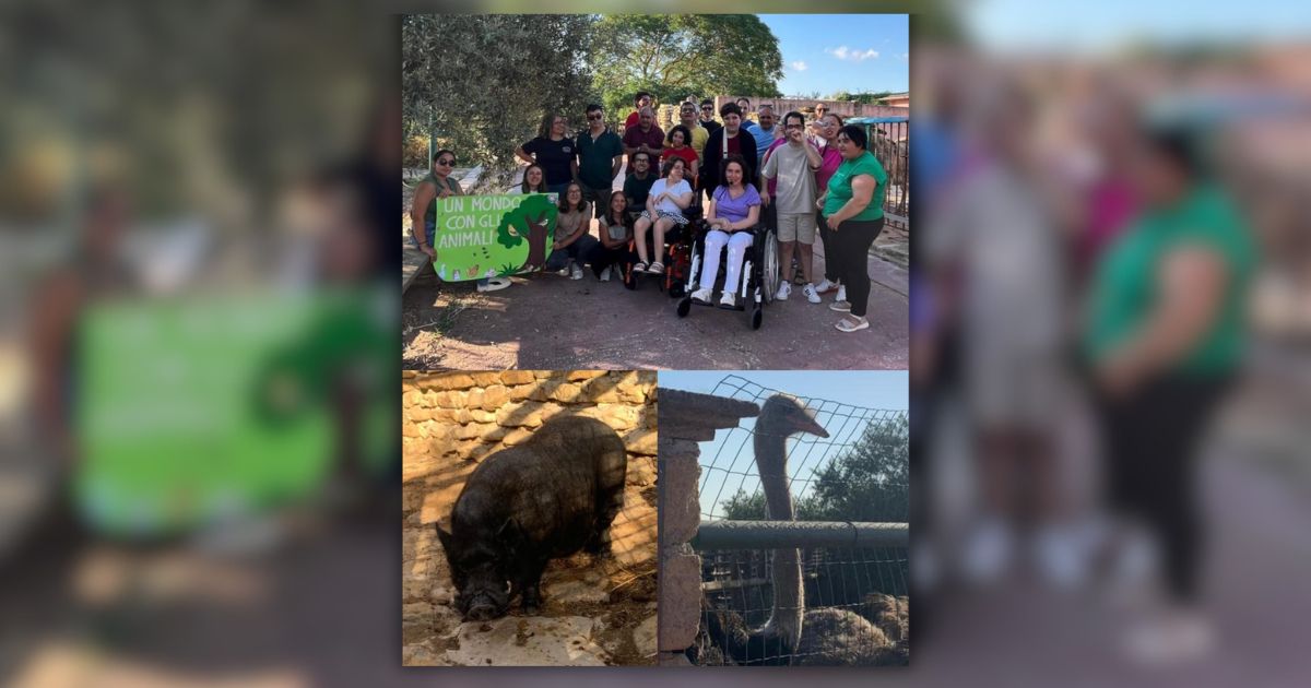 Festa Conclusiva “Un mondo con gli animali”